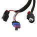 PartzBiz CM: 2906-Atomic TBI, ECU Only PartzBiz CM: 2906-Atomic TBI, ECU Only