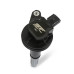 PartzBiz CM: 55158-
Street Fire Ignition Coils 2011-2016 Ford 5.0L 4-valve engines, Black, 8-Pack
PartzBiz CM: 55158-
Street Fire Ignition Coils 2011-2016 Ford 5.0L 4-valve engines, Black, 8-Pack