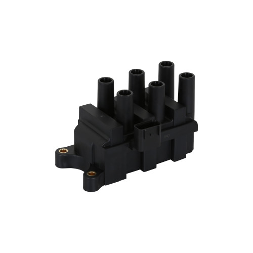 PartzBiz CM: 5529-
Street Fire Ignition Coil Pack, 2001-2004  Ford 6-Tower DIS Style, Black

