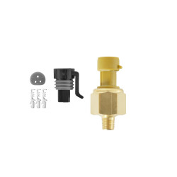 PartzBiz CM 30-2131-75 - 
AEM 5 BAR Brass MAP Sensor Kit

