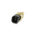 PartzBiz CM: 30-2012-
AEM Water Temp Sensor Kit
PartzBiz CM: 30-2012-
AEM Water Temp Sensor Kit