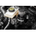 PartzBiz CM: MS100187-
APR DQ500 Transmission Catch Can and Breather System
PartzBiz CM: MS100187-
APR DQ500 Transmission Catch Can and Breather System