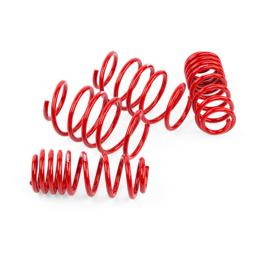 PartzBiz CM: SUS00021-
APR Roll-Control Lowering Springs - MK7 Jetta GLI
PartzBiz CM: SUS00021-
APR Roll-Control Lowering Springs - MK7 Jetta GLI