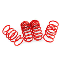 PartzBiz CM SUS00016 -
APR Roll-Control Lowering Springs - MK8 GTI
PartzBiz CM SUS00016 -
APR Roll-Control Lowering Springs - MK8 GTI
