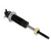 PartzBiz CM: 031016DS-Detroit Speed Coil-Over Shock PartzBiz CM: 031016DS-Detroit Speed Coil-Over Shock
