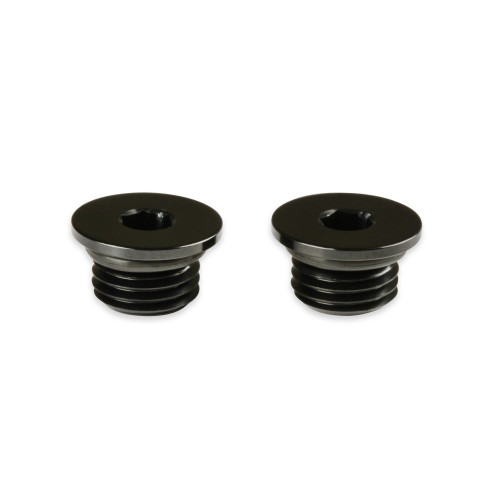 PartzBiz CM: AT581306ERL-Earl's AN Port Plug - Allen Head
