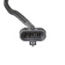 PartzBiz CM: 558-475-GM PWM ALTERNATOR HARNESS PartzBiz CM: 558-475-GM PWM ALTERNATOR HARNESS