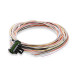PartzBiz CM: 553-116-Holley EFI 12.3 PartzBiz CM: 553-116-Holley EFI 12.3