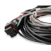 PartzBiz CM: 553-116-Holley EFI 12.3 PartzBiz CM: 553-116-Holley EFI 12.3