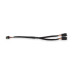 PartzBiz CM: 558-465-Holley EFI CAN ตัวแยกสัญญาณ