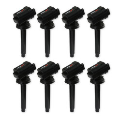 PartzBiz CM 556-161 - HOLLEY EFI COYOTE SMART COIL PartzBiz CM 556-161 - HOLLEY EFI COYOTE SMART COIL
