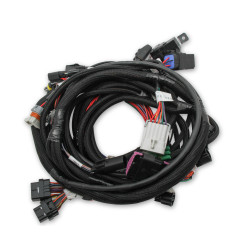 PartzBiz CM 558-122 - Holley EFI Ford Coyote Ti-VCT Main Harness for Holley EFI HP smart coils (2011-2017) PartzBiz CM 558-122 - Holley EFI Ford Coyote Ti-VCT Main Harness for Holley EFI HP smart coils (2011-2017)