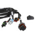 PartzBiz CM: 558-481-Holley EFI Transmission Harness - T-56
