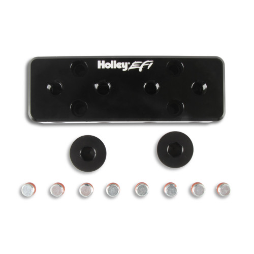 PartzBiz CM: 534-52-Holley EFI Vacuum Manifold