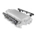 PartzBiz CM: 300-621-Holley Modular Ultra Lo-Ram EFI Manifold LS1/2/6 PartzBiz CM: 300-621-Holley Modular Ultra Lo-Ram EFI Manifold LS1/2/6
