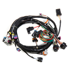 PartzBiz CM 558-102 - LS1/6 (24x/1x) Engine Main Harness PartzBiz CM 558-102 - LS1/6 (24x/1x) Engine Main Harness