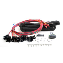 PartzBiz CM 558-204 - Universal Unterminated Injector Harness PartzBiz CM 558-204 - Universal Unterminated Injector Harness