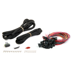 PartzBiz CM 558-207 - Unterminated 16 injectors MPFI harness PartzBiz CM 558-207 - Unterminated 16 injectors MPFI harness