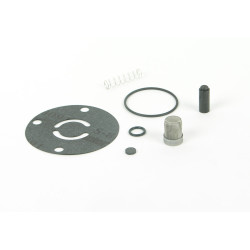 PartzBiz CM 12-820 - Fuel Pump Check Valve Kit PartzBiz CM 12-820 - Fuel Pump Check Valve Kit