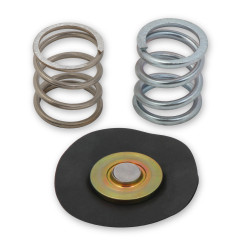PartzBiz CM 12-828 - Regulator Rebuild Kit PartzBiz CM 12-828 - Regulator Rebuild Kit