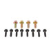 PartzBiz CM: 50369-Lakewood Bellhousing Bolt Kit - LS Engines PartzBiz CM: 50369-Lakewood Bellhousing Bolt Kit - LS Engines
