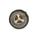 PartzBiz CM: 6367-Mr. Gasket Thermostat - 160 Degree PartzBiz CM: 6367-Mr. Gasket Thermostat - 160 Degree