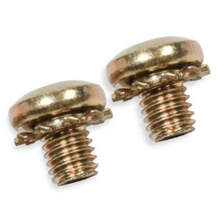 PartzBiz CM 5-6QFT - Throttle Plate Screws Standard Phillips Head