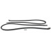 PartzBiz CM: C5ZZ-6520530-1A-Scott Drake Door Weatherstrip Pair PartzBiz CM: C5ZZ-6520530-1A-Scott Drake Door Weatherstrip Pair