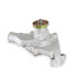 PartzBiz CM: 9208-Action +Plus Water Pump