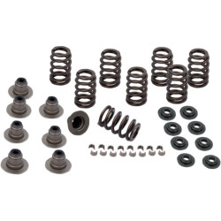 PartzBiz HD 900-0958 - S&S Cycle Sidewinder .605‚” ชุดสปริงวาล์วยก Harley Touring Softail 17-20 M8 PartzBiz HD 900-0958 - S&S Cycle Sidewinder .605‚” ชุดสปริงวาล์วยก Harley Touring Softail 17-20 M8
