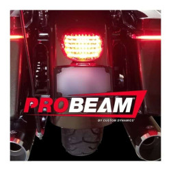 PartzBiz HD CD-TL-NW-R - Custom Dynamics Low Profile LED Taillight Red Lens w/o Plate Window Harley 99-20 PartzBiz HD CD-TL-NW-R - Custom Dynamics Low Profile LED Taillight Red Lens w/o Plate Window Harley 99-20