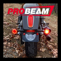 PartzBiz HD PB-SCOUT-RR-CS - Custom Dynamics ProBEAM Rear Red Ring Bullet Turn Signal LEDs Black Scout 15-20 2020-1913 20201913 CD-PB-SCOUT-RR-CS Harley light replacement upgrade touring softail PartzBiz HD PB-SCOUT-RR-CS - Custom Dynamics ProBEAM Rear Red Ring Bullet Turn Signal LEDs Black Scout 15-20 2020-1913 20201913 CD-PB-SCOUT-RR-CS Harley light replacement upgrade touring softail