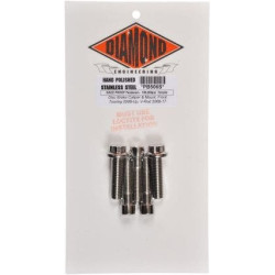 PartzBiz HD DS24010224 - Diamond Engineering 12 Point Polished Stainless Steel Engine Bolt Kit XL 04-15 | PS819S PartzBiz HD DS24010224 - Diamond Engineering 12 Point Polished Stainless Steel Engine Bolt Kit XL 04-15 | PS819S