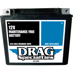 PartzBiz HD DS21130793 - Drag 12v 310cca YTX20H FT Factory-Activated High Performance AGM Battery 