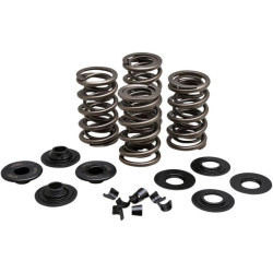PartzBiz HD DS09263167 - Kibblewhite 20-21650 Racing .650 ” Lift Valve Spring Kit 84-04 Harley Davidson Twin Cam & Evolution Touring Softail Sportster 88 96 103 ลูกบาศก์นิ้ว Performance Horse Power Upgrade Engine Motor Aftermarket Replacement Race Bike Parts 0926-3167 09263167 PartzBiz HD DS09263167 - Kibblewhite 20-21650 Racing .650 ” Lift Valve Spring Kit 84-04 Harley Davidson Twin Cam & Evolution Touring Softail Sportster 88 96 103 ลูกบาศก์นิ้ว Performance Horse Power Upgrade Engine Motor Aftermarket Replacement Race Bike Parts 0926-3167 09263167