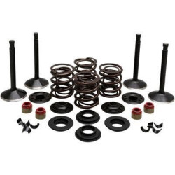 PartzBiz HD DS09263314 - EPC ราคาสุดคุ้ม จัดส่งฟรี. Kibblewhite 20-22450 ชุดวาล์วสแตนเลสเพชรสีดำหัวพลั่ว 74 66-77 PartzBiz HD DS09263314 - EPC ราคาสุดคุ้ม จัดส่งฟรี. Kibblewhite 20-22450 ชุดวาล์วสแตนเลสเพชรสีดำหัวพลั่ว 74 66-77