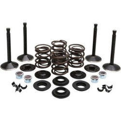 PartzBiz HD DS09263316 - EPC ราคาสุดคุ้ม จัดส่งฟรี. Kibblewhite 20-22550 ชุดวาล์วสแตนเลสไดมอนด์สีดำหัวพลั่ว 80 78-83 PartzBiz HD DS09263316 - EPC ราคาสุดคุ้ม จัดส่งฟรี. Kibblewhite 20-22550 ชุดวาล์วสแตนเลสไดมอนด์สีดำหัวพลั่ว 80 78-83