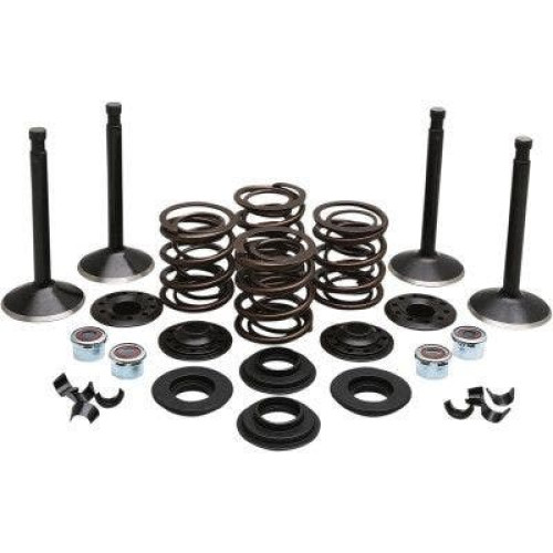 PartzBiz HD: 4413709-EPC Great Price. Free Shipping. Kibblewhite 20-22550 Black Diamond Stainless Steel Valve Kit Shovelhead 80 78-83
