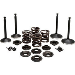PartzBiz HD DS09263312 - EPC ราคาสุดคุ้ม จัดส่งฟรี. Kibblewhite 20-22250 ชุดวาล์วสแตนเลสแบล็คไดมอนด์ Panhead XL 57-69 PartzBiz HD DS09263312 - EPC ราคาสุดคุ้ม จัดส่งฟรี. Kibblewhite 20-22250 ชุดวาล์วสแตนเลสแบล็คไดมอนด์ Panhead XL 57-69