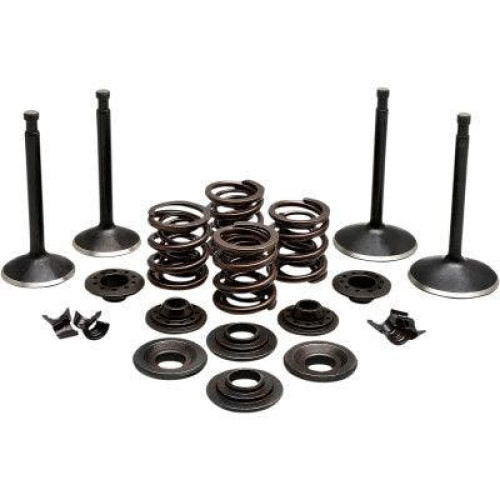 PartzBiz HD: 4413710-EPC Great Price. Free Shipping. Kibblewhite 20-22250 Black Diamond Stainless Steel Valve Kit Panhead XL 57-69 PartzBiz HD: 4413710-EPC Great Price. Free Shipping. Kibblewhite 20-22250 Black Diamond Stainless Steel Valve Kit Panhead XL 57-69