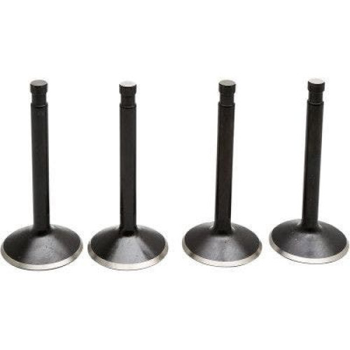 PartzBiz HD: 4413713-EPC Great Price. Free Shipping. Kibblewhite 20-22200 Black Diamond Stainless Steel Valve Kit Panhead XL 57-69 PartzBiz HD: 4413713-EPC Great Price. Free Shipping. Kibblewhite 20-22200 Black Diamond Stainless Steel Valve Kit Panhead XL 57-69