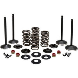 PartzBiz HD DS09263218 - Kibblewhite 20-23050 ชุดวาล์วสแตนเลส Black Diamond HD Twin Cam 99-04 PartzBiz HD DS09263218 - Kibblewhite 20-23050 ชุดวาล์วสแตนเลส Black Diamond HD Twin Cam 99-04