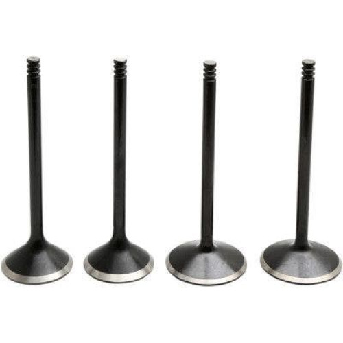 PartzBiz HD: 4413715-Kibblewhite 20-23100 Black Diamond Stainless Steel Valve Kit HD Twin Cam 05-17 PartzBiz HD: 4413715-Kibblewhite 20-23100 Black Diamond Stainless Steel Valve Kit HD Twin Cam 05-17