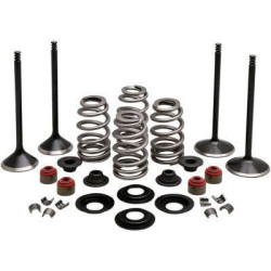 PartzBiz HD DS09263220 - Kibblewhite 20-23150 Black Diamond Stainless Steel Valve Kit HD Twin Cam 05-17 PartzBiz HD DS09263220 - Kibblewhite 20-23150 Black Diamond Stainless Steel Valve Kit HD Twin Cam 05-17
