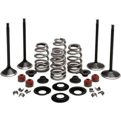 PartzBiz HD: 4413716-Kibblewhite 20-23150 Black Diamond Stainless Steel Valve Kit HD Twin Cam 05-17