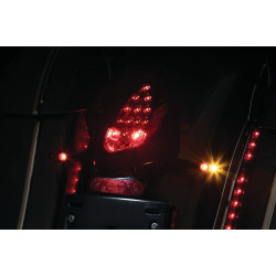 PartzBiz HD KA3129 - Kuryakyn 3129 Custom Rear Turn Signal & Plate Mount Black Indian Touring 14-20 PartzBiz HD KA3129 - Kuryakyn 3129 Custom Rear Turn Signal & Plate Mount Black Indian Touring 14-20