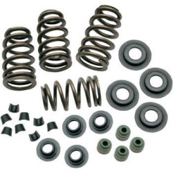 PartzBiz HD SS106-5909 - S&S 106-5909 Sidewinder .650 ” ชุดสปริงวาล์ว Twin Cam 05-18 Sportster 04-20