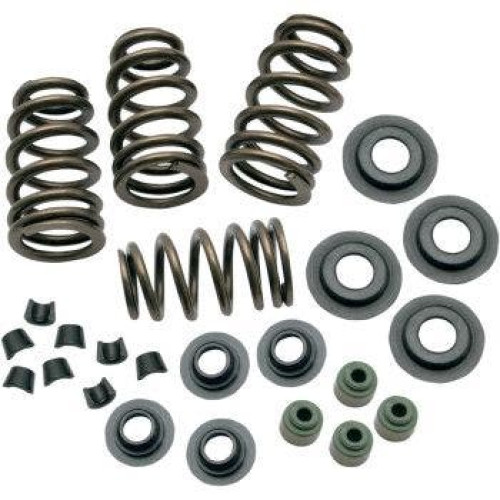 PartzBiz HD: 4404390-S&S 106-5909 Sidewinder .650" Valve Spring Kit Twin Cam 05-18 Sportster 04-20 PartzBiz HD: 4404390-S&S 106-5909 Sidewinder .650" Valve Spring Kit Twin Cam 05-18 Sportster 04-20
