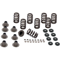 PartzBiz HD SS900-0958 - S&S Cycle 900-0958 Sidewinder .605 ” Valve Spring Kit 17-19 Harley Davidson Milwaukee M8 M-Eight Touring Softail Performance Upgrade เปลี่ยนกำลังเครื่องยนต์ 0926-2972 09262972 PartzBiz HD SS900-0958 - S&S Cycle 900-0958 Sidewinder .605 ” Valve Spring Kit 17-19 Harley Davidson Milwaukee M8 M-Eight Touring Softail Performance Upgrade เปลี่ยนกำลังเครื่องยนต์ 0926-2972 09262972
