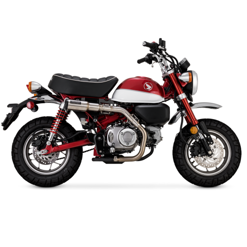 PartzBiz HD: 4400866-Vance & Hines 14243 Stainless Steel Hi-Output Slip-On Honda Monkey Z125M 19-Up PartzBiz HD: 4400866-Vance & Hines 14243 Stainless Steel Hi-Output Slip-On Honda Monkey Z125M 19-Up